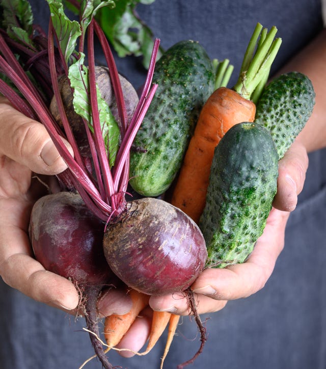 Food Trip - A culinary Adventure to America's Most Delicious Destinations