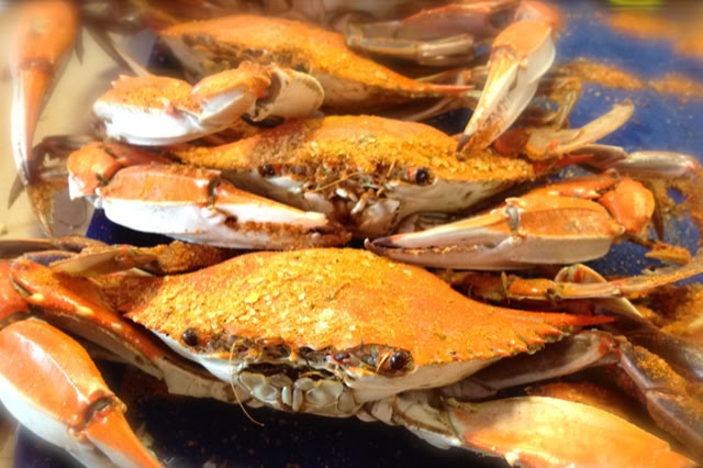 Food Trip - A culinary Adventure to America's Most Delicious Destinations