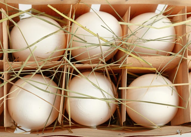 Food Trip - A culinary Adventure to America's Most Delicious Destinations