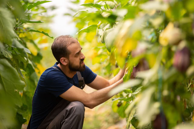 Food Trip - A culinary Adventure to America's Most Delicious Destinations