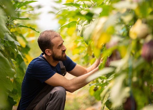 Food Trip - A culinary Adventure to America's Most Delicious Destinations