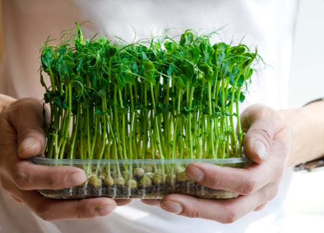 Food Trip - A culinary Adventure to America's Most Delicious Destinations