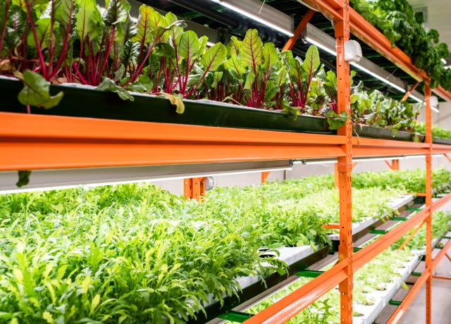 Food Trip - A culinary Adventure to America's Most Delicious Destinations