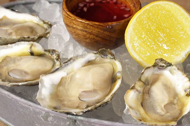 Food Trip - A culinary Adventure to America's Most Delicious Destinations