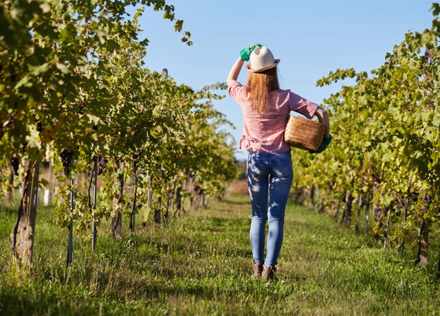 Food Trip - A culinary Adventure to America's Most Delicious Destinations