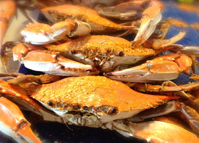 Food Trip - A culinary Adventure to America's Most Delicious Destinations