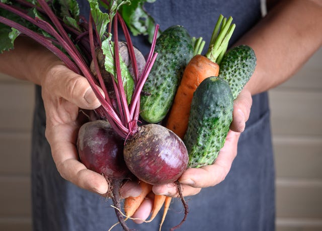 Food Trip - A culinary Adventure to America's Most Delicious Destinations