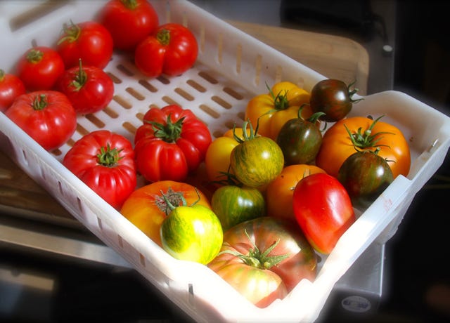 Food Trip - A culinary Adventure to America's Most Delicious Destinations